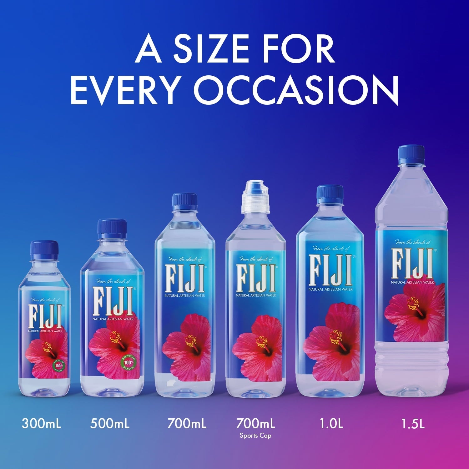 (2 pack) FIJI Natural Artesian Water, 16.9 fl. oz. (Pack of 6 Bottles)