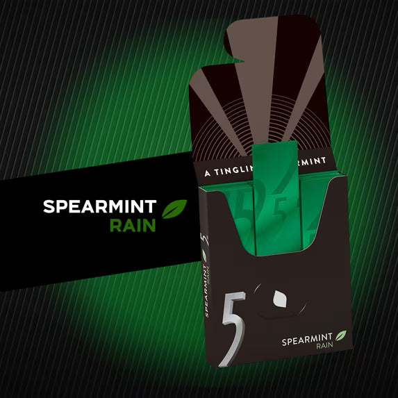 5 Gum Spearmint Rain Sugar Free Chewing Gum - 15 Ct (6 pack)