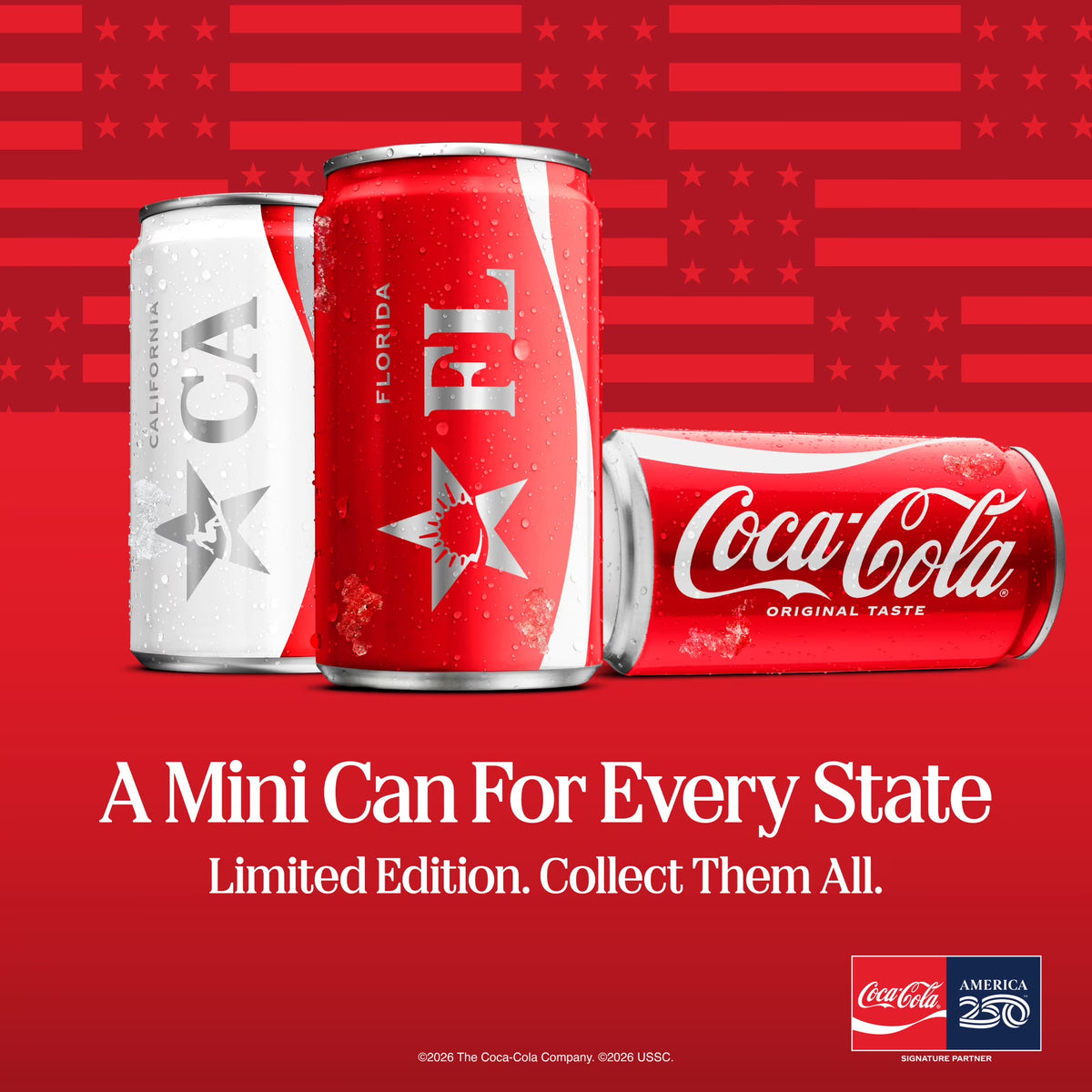 (pack of 2)Coca-Cola Soda Pop Bottles, 16.9 fl oz, 6 Pack