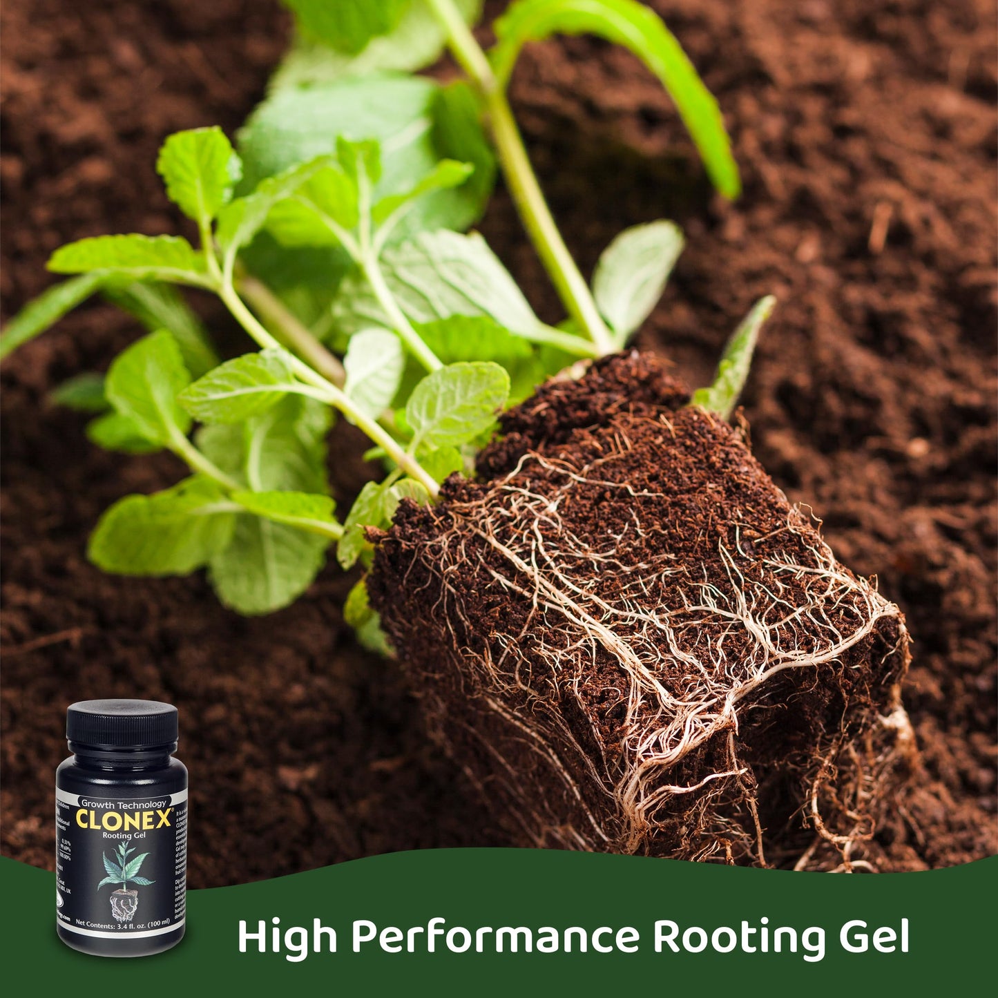 Clonex Rooting Gel High-Performance Rooting Compound - 100ml